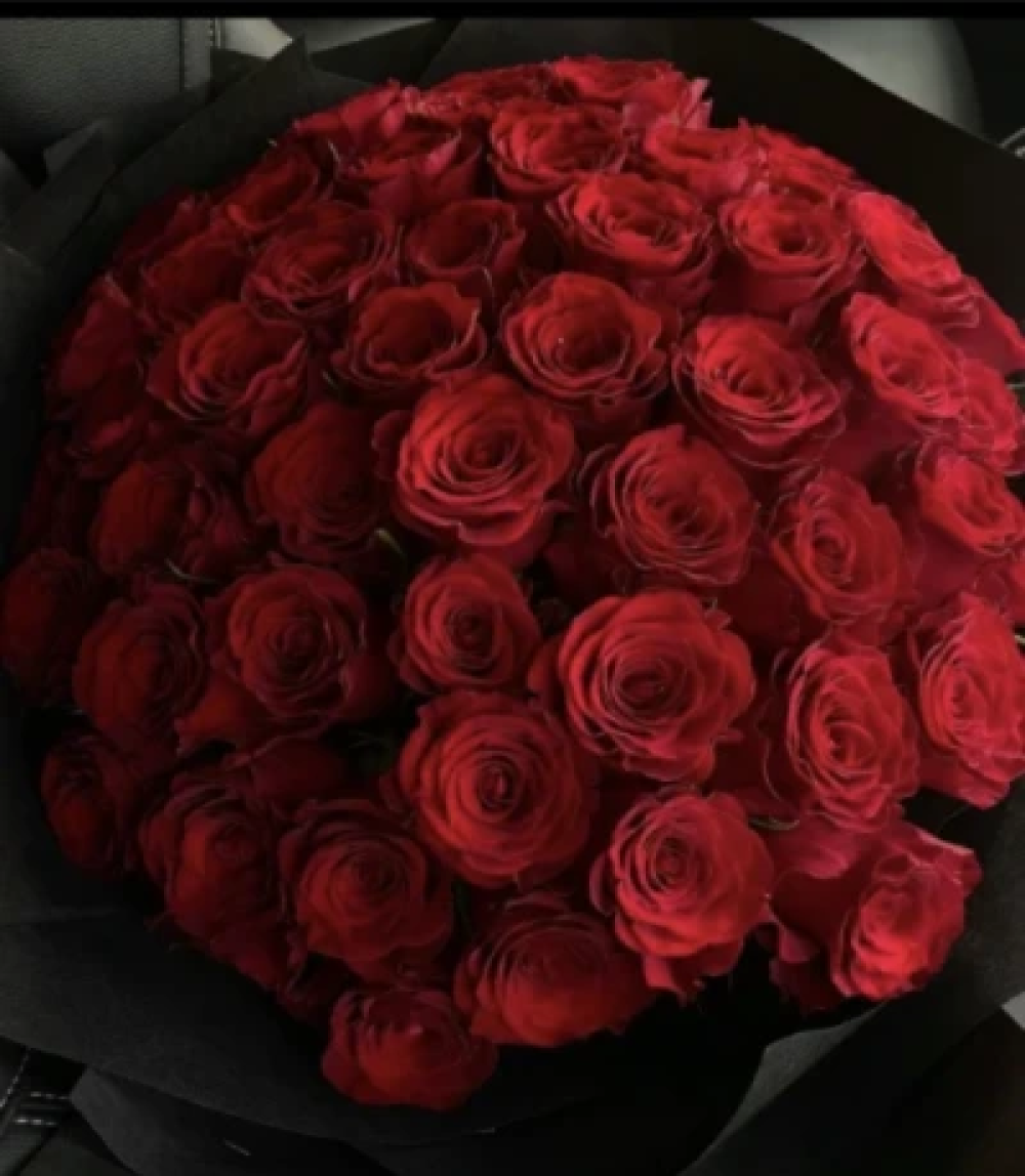 50 Mega luxury roses